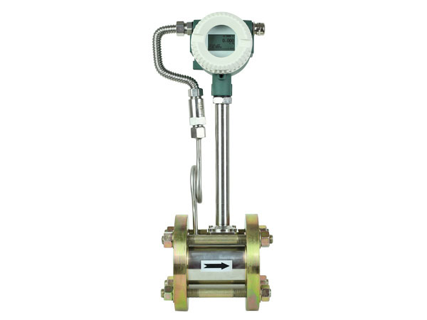 MFV Vortex Steam — MaxFlow Flow Meter