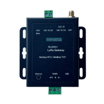 Renatta RLGW02 LoRa Gateway