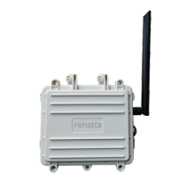 Renatta RWPT806 Battery LoRa DTU