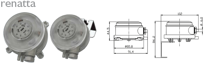 Renatta DPS Series (Differential Pressure Switch)